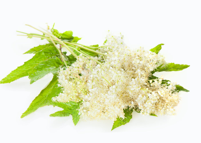 Гидролат Таволги  